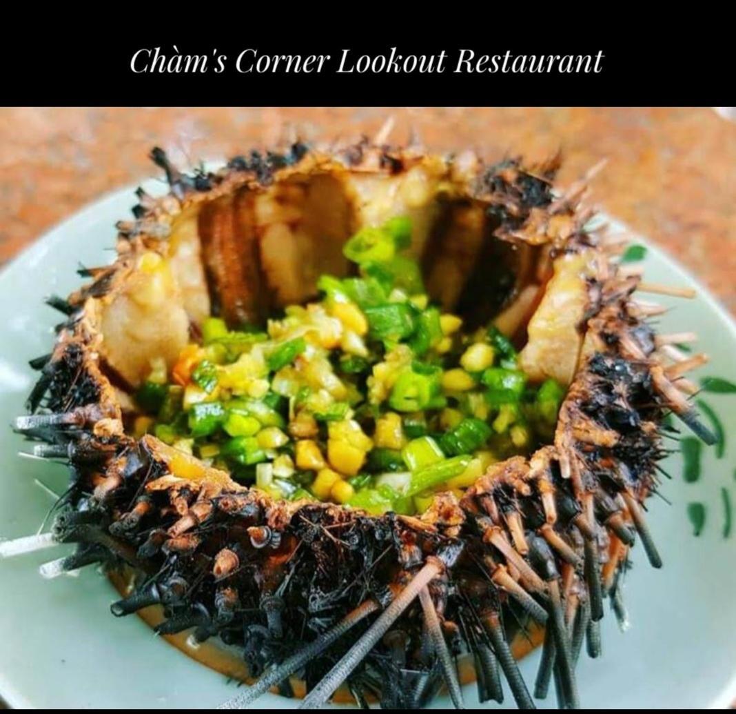 Cham'S Corner Lookout Homestay & Restaurant Tan Hiep (Quang Nam) Exterior foto